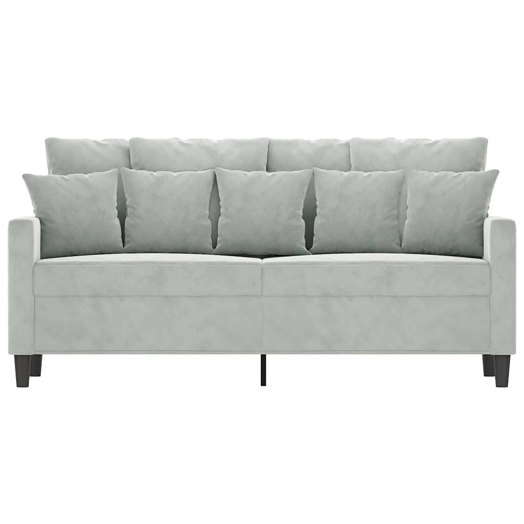 Light Gray Velvet 2-Seater Loveseat Sofa Z8527
