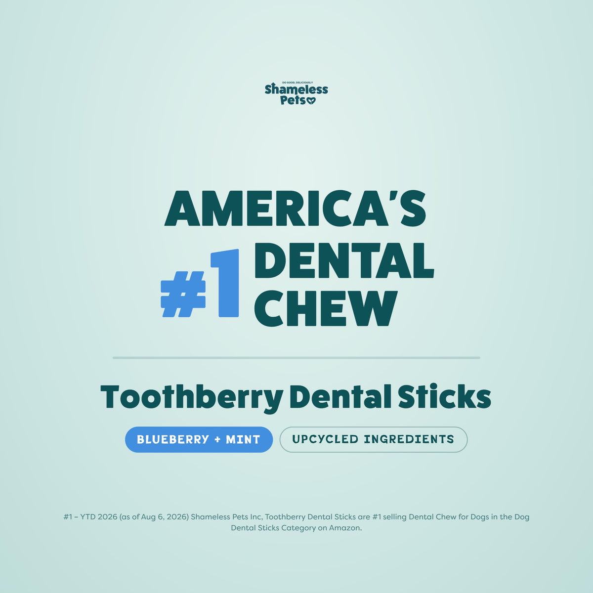 Blueberry & Mint Dental Chews for Dogs, 8 Chews F962