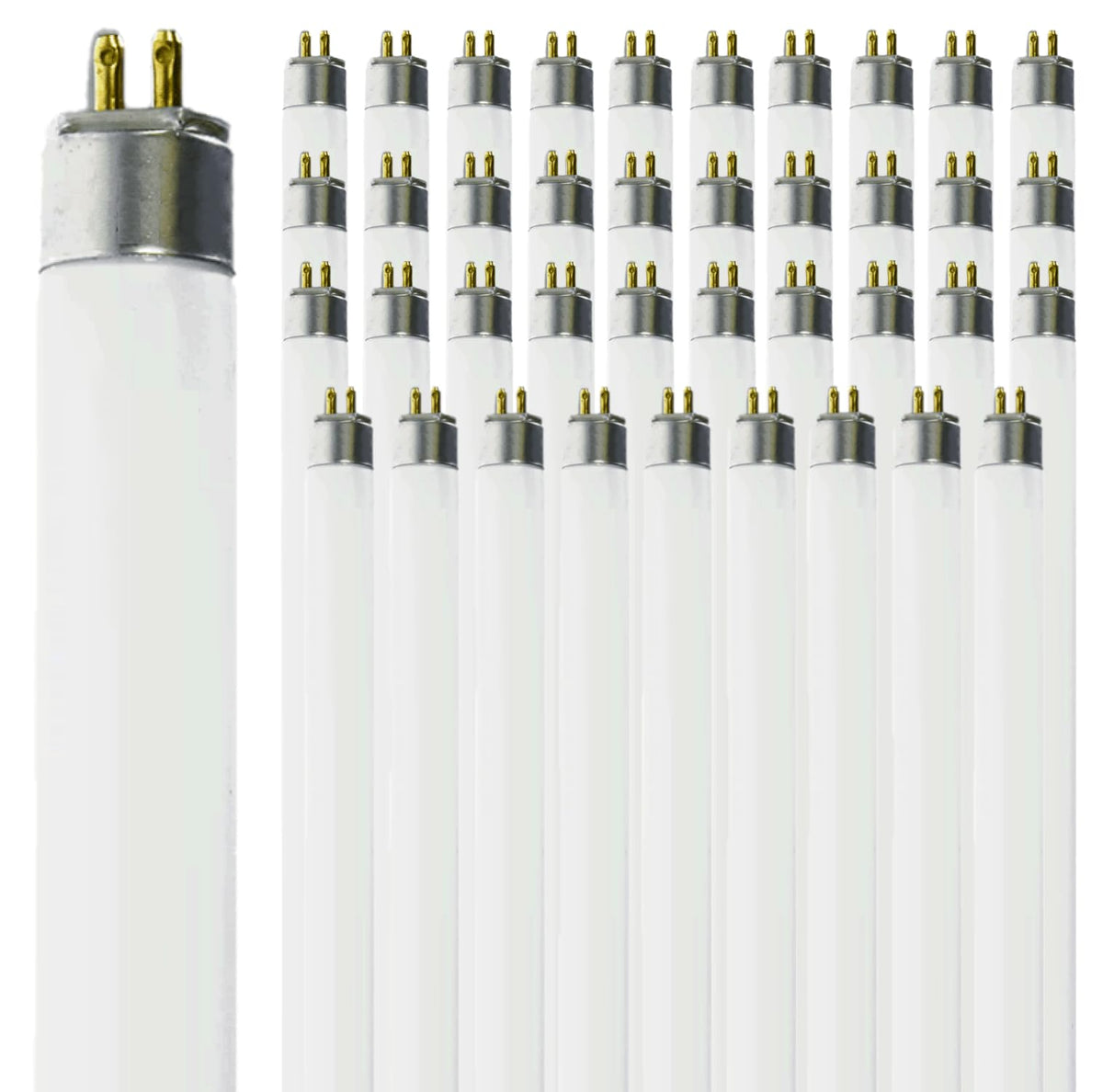 14W 4100K Cool White T5 Fluorescent Bulb 24 Inch G5 Bipin Base Pack of 40 C49834
