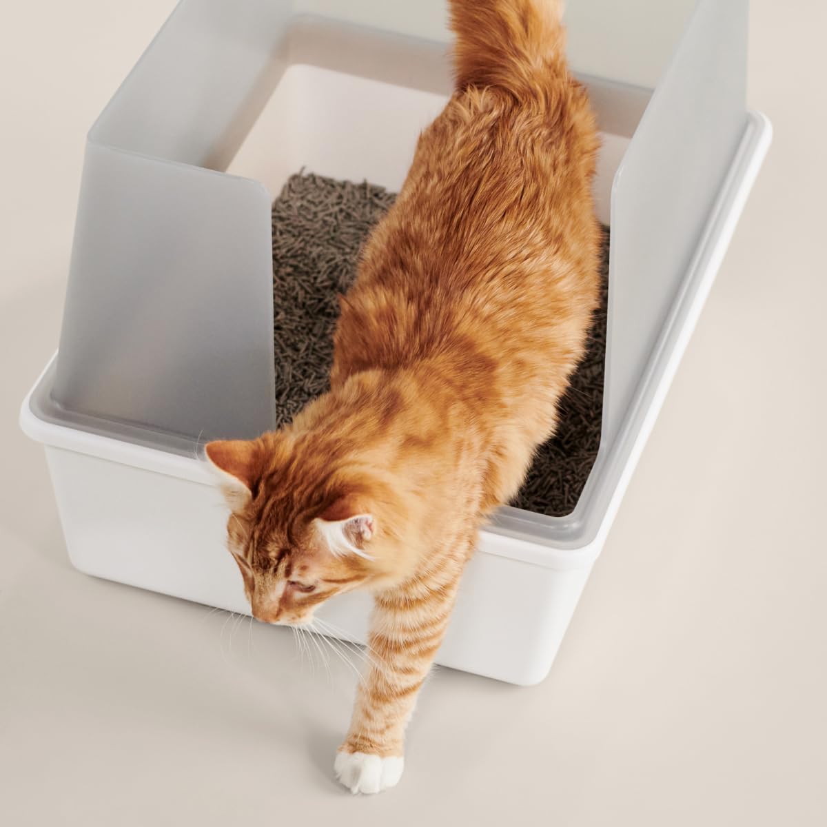 High Sided Cat Litter Box Open Top Anti-Stick Plastic White/Gray L380530