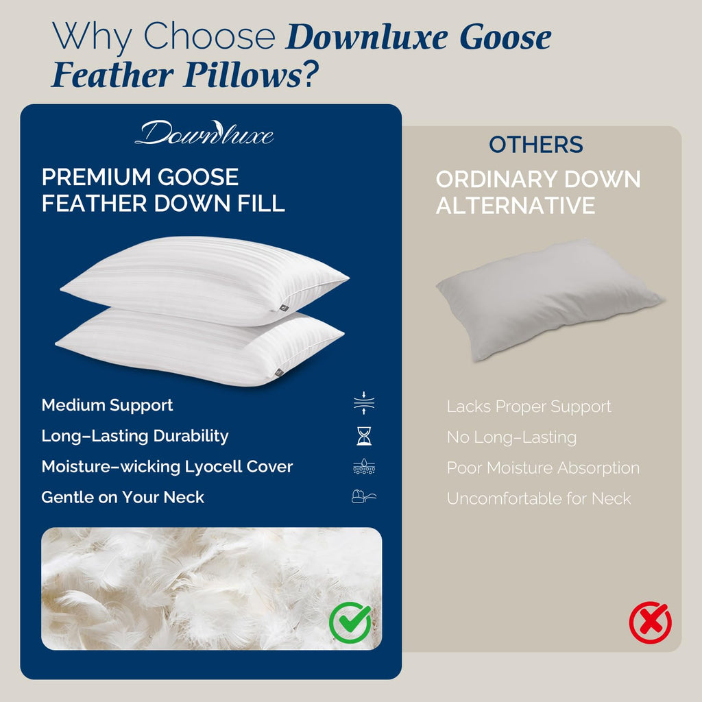 Goose Feather and Down King Size Pillows Set of 2 V372