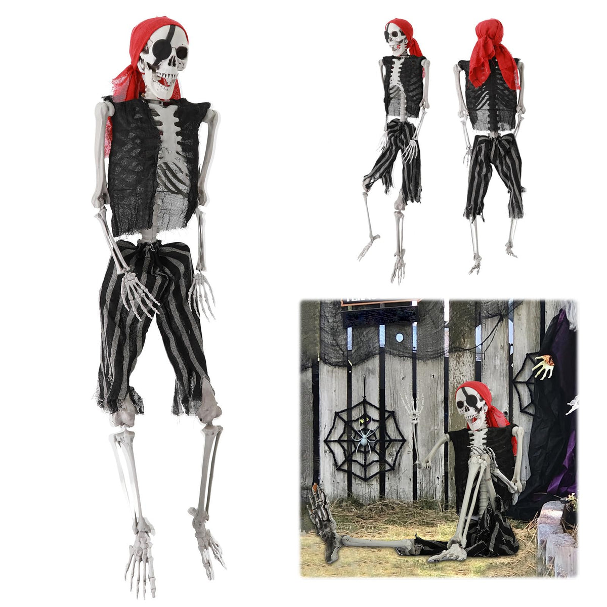 Life Size Skeleton with Joints Y33890