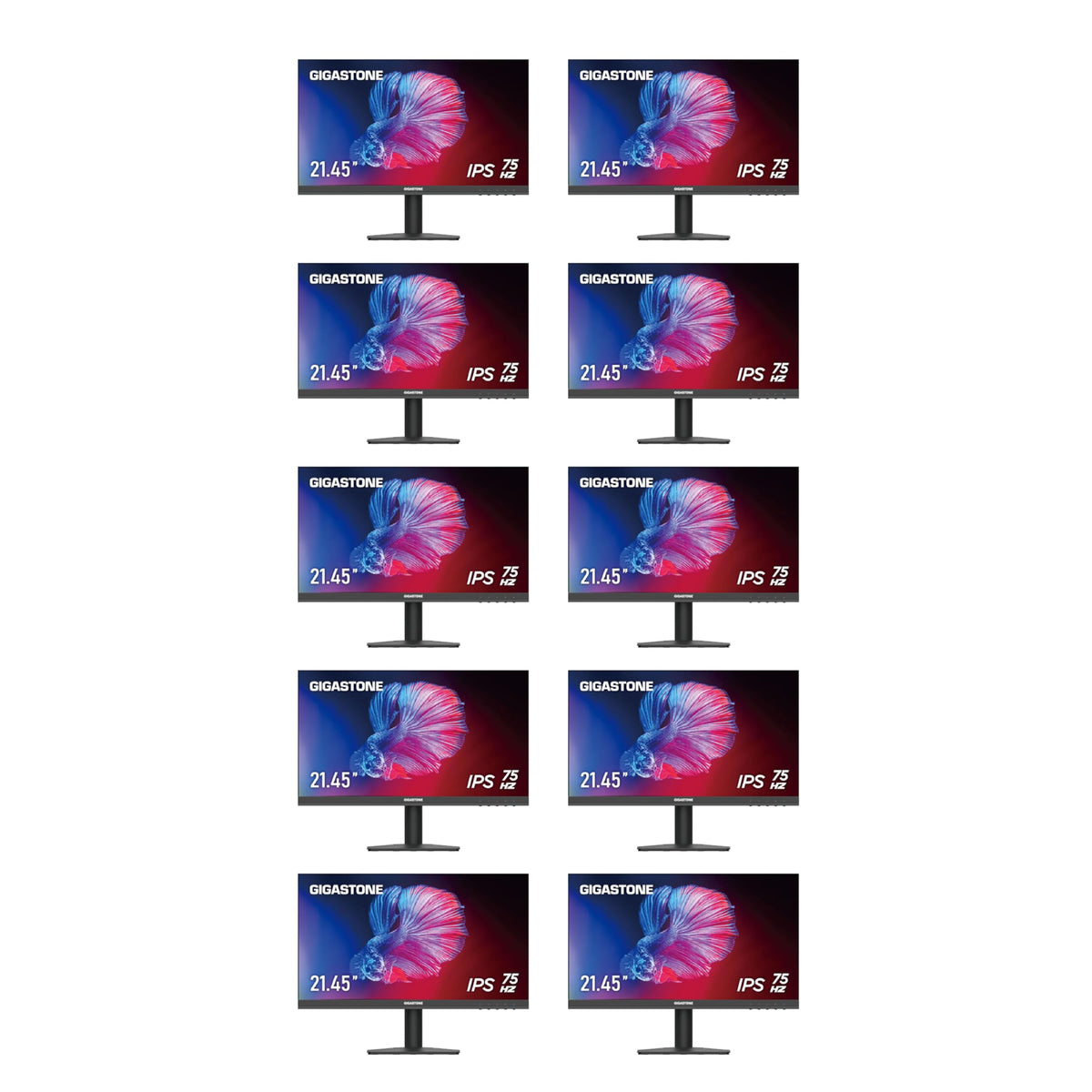 22 inch IPS LED Monitor 10-Pack 75Hz FHD Frameless J705
