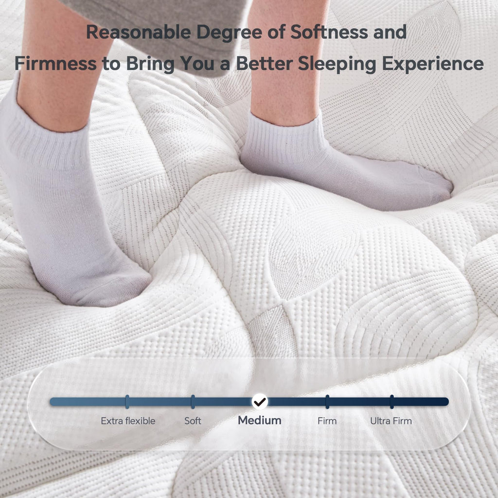 10 Inch Twin Hybrid Mattress in a Box with Pocket Spring & Memory Foam N76249