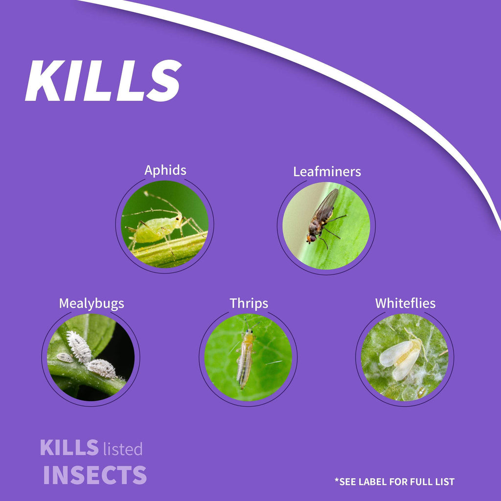 1 lb Insect Killer Granules P869469
