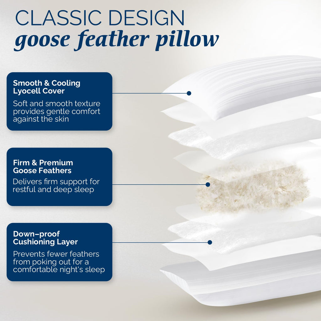 Goose Feather and Down King Size Pillows Set of 2 V372