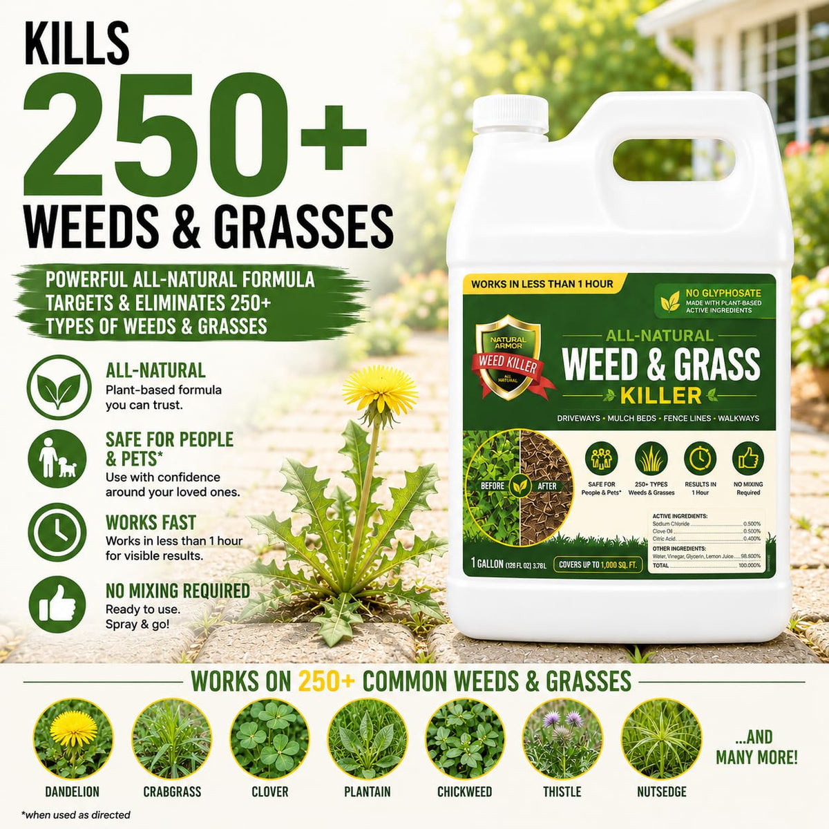 Pet Safe Weed Killer 1 Gallon with Sprayer J2484