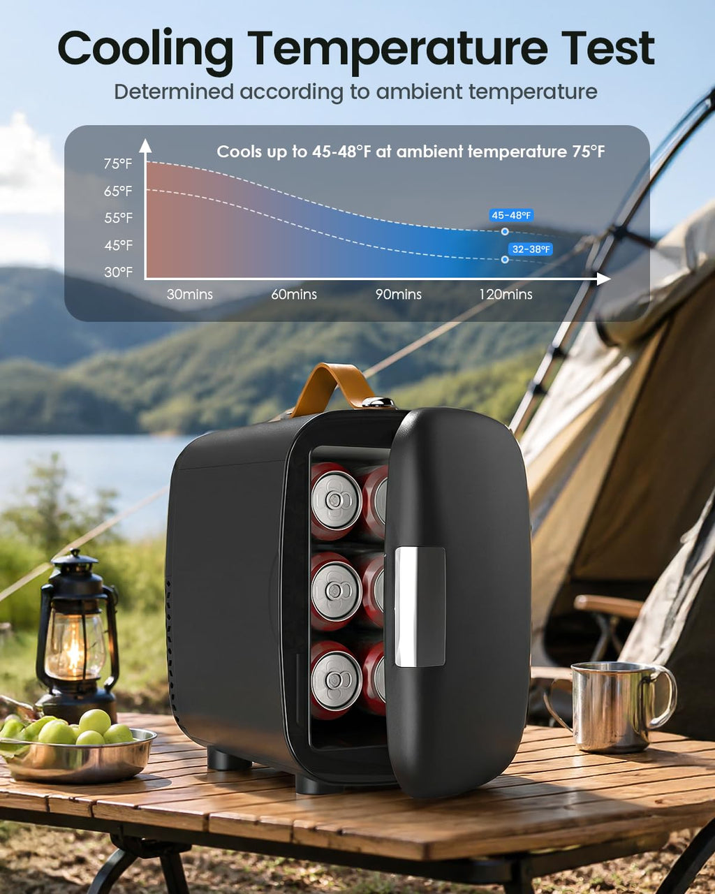Portable Mini Fridge 4L 6 Can Black C660