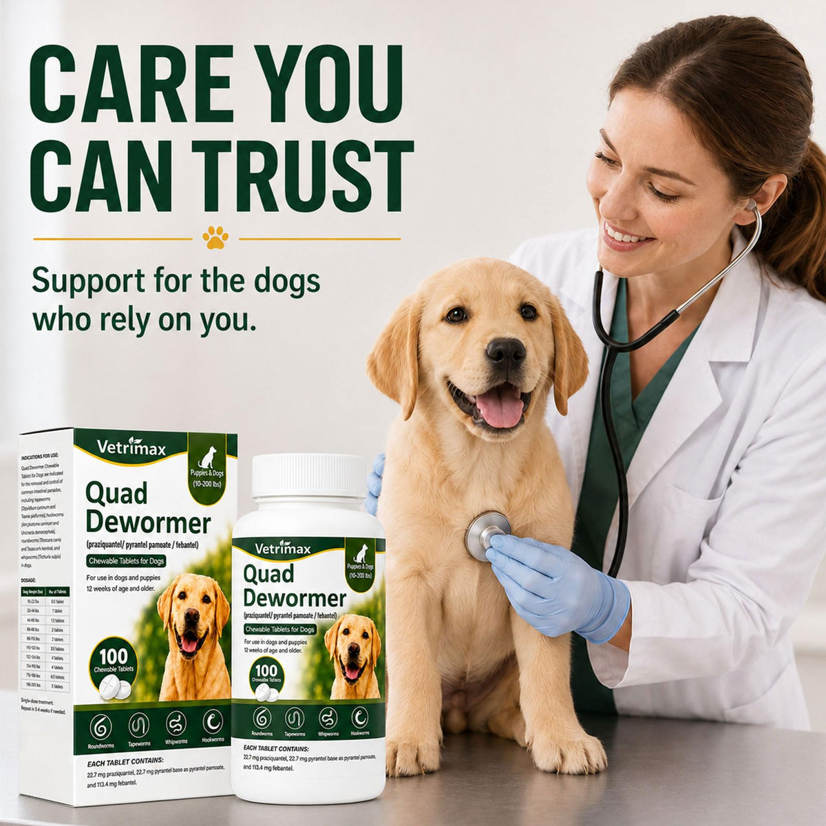 Dewormer for Dogs, 4-Way Wormer, 100 Count B93941