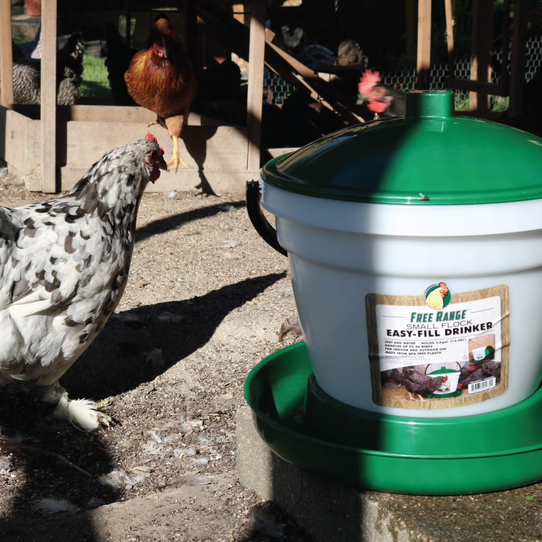 6.25 Gallon Poultry Drinker U709