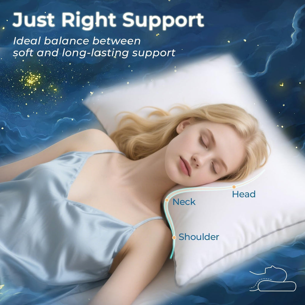 King Size Down Alternative Pillows Set of 2 X540