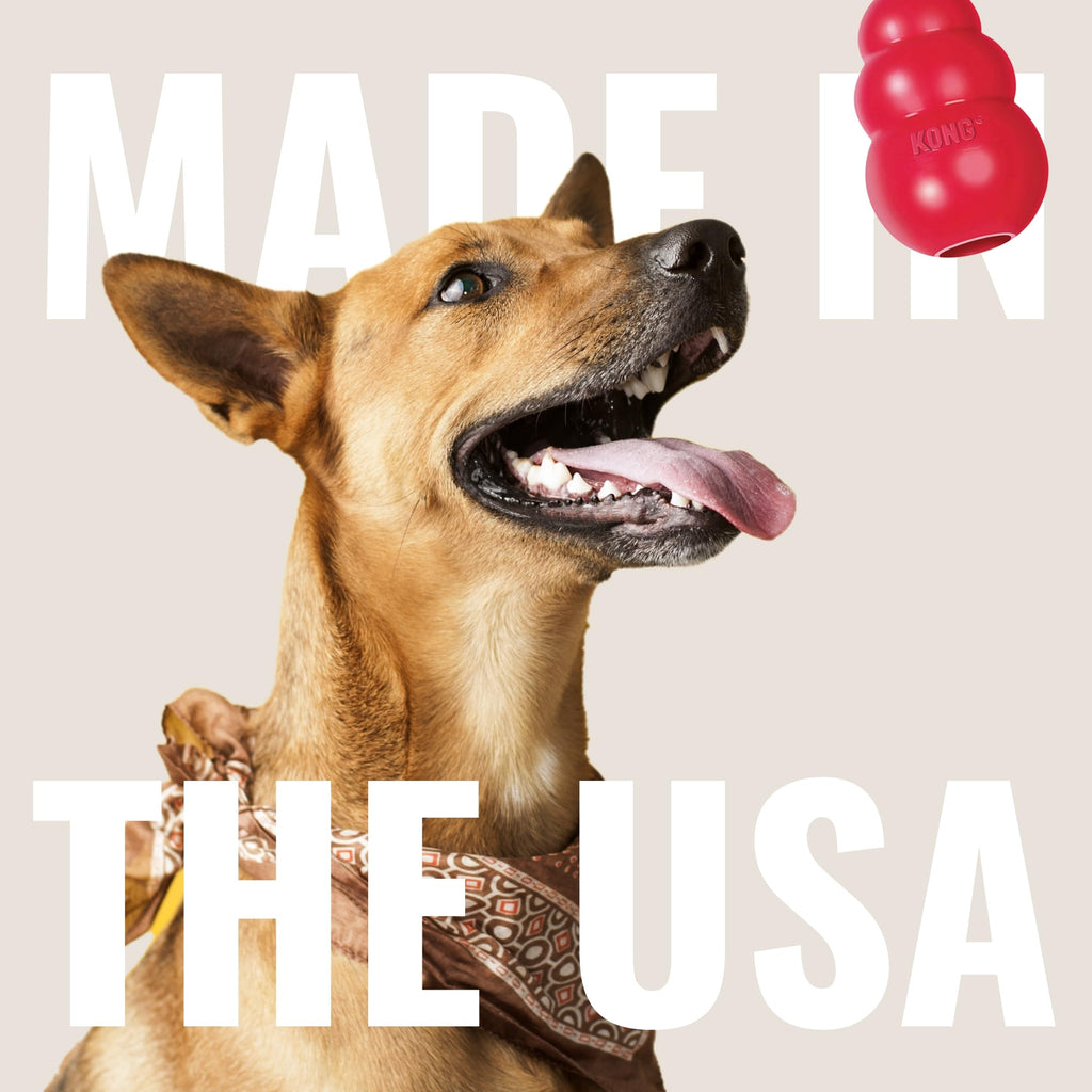 Peanut Butter and Sweet Potato Dog Treat Paste 5 oz R1459