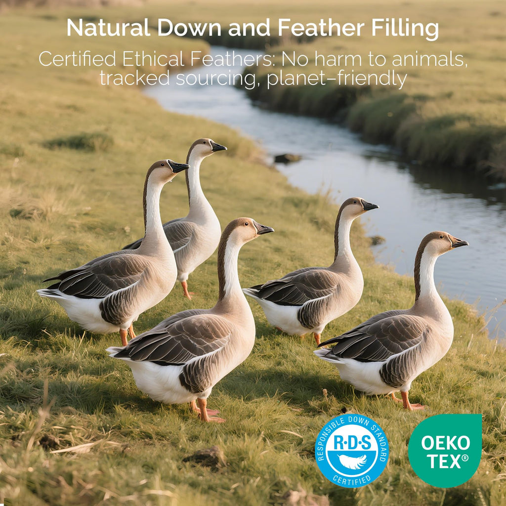 Goose Feather and Down King Size Pillows Set of 2 V372