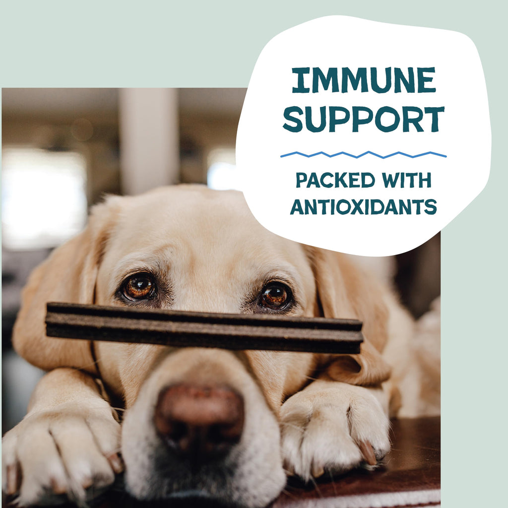 Blueberry & Mint Dental Chews for Dogs, 8 Chews F962