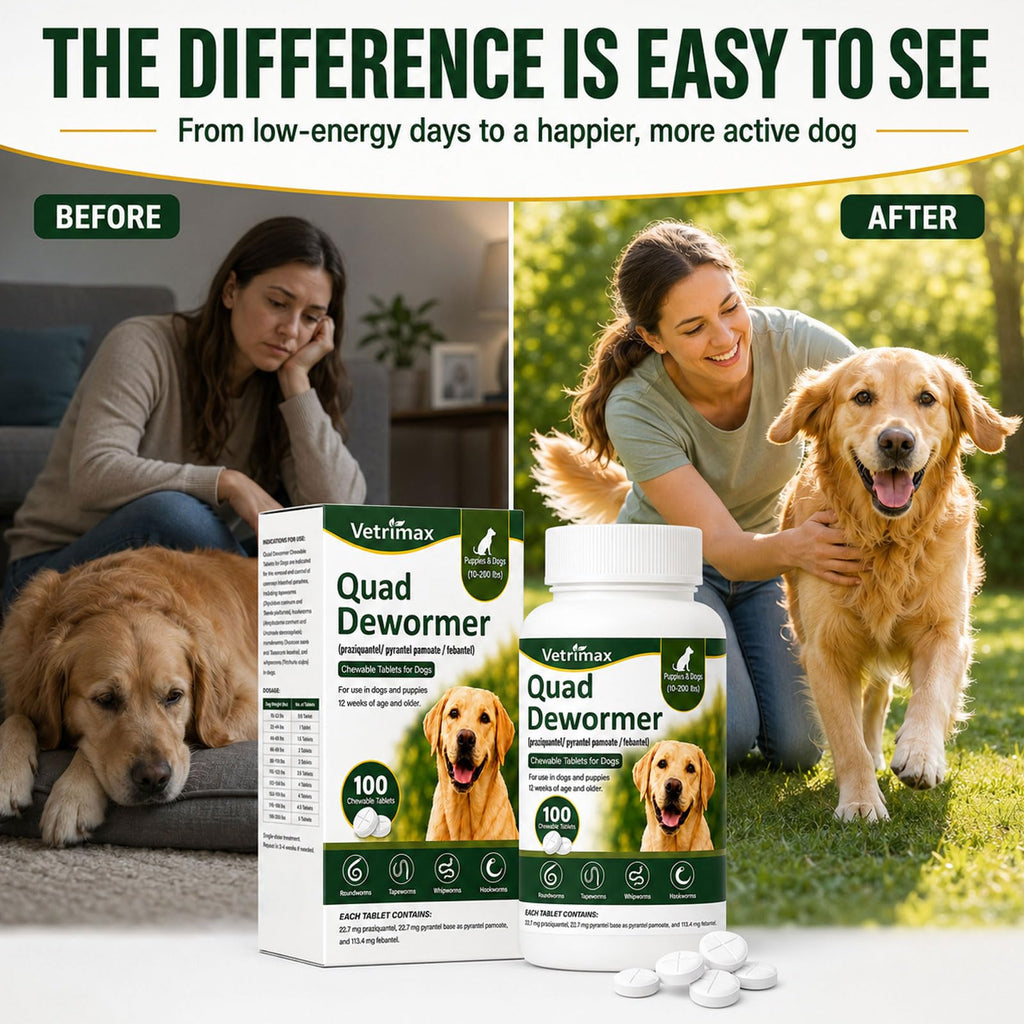 Dewormer for Dogs, 4-Way Wormer, 100 Count B93941