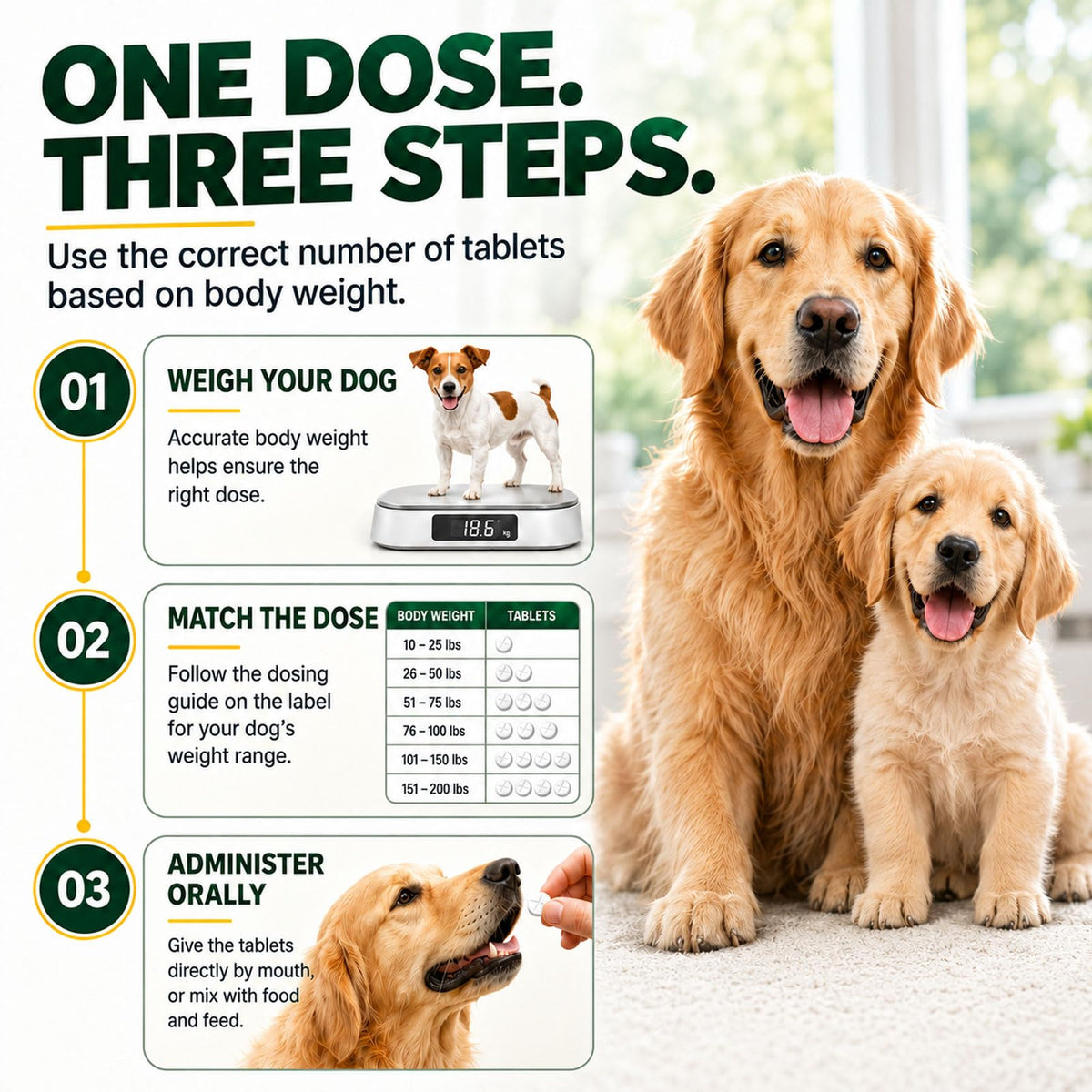 Dewormer for Dogs, 4-Way Wormer, 100 Count B93941