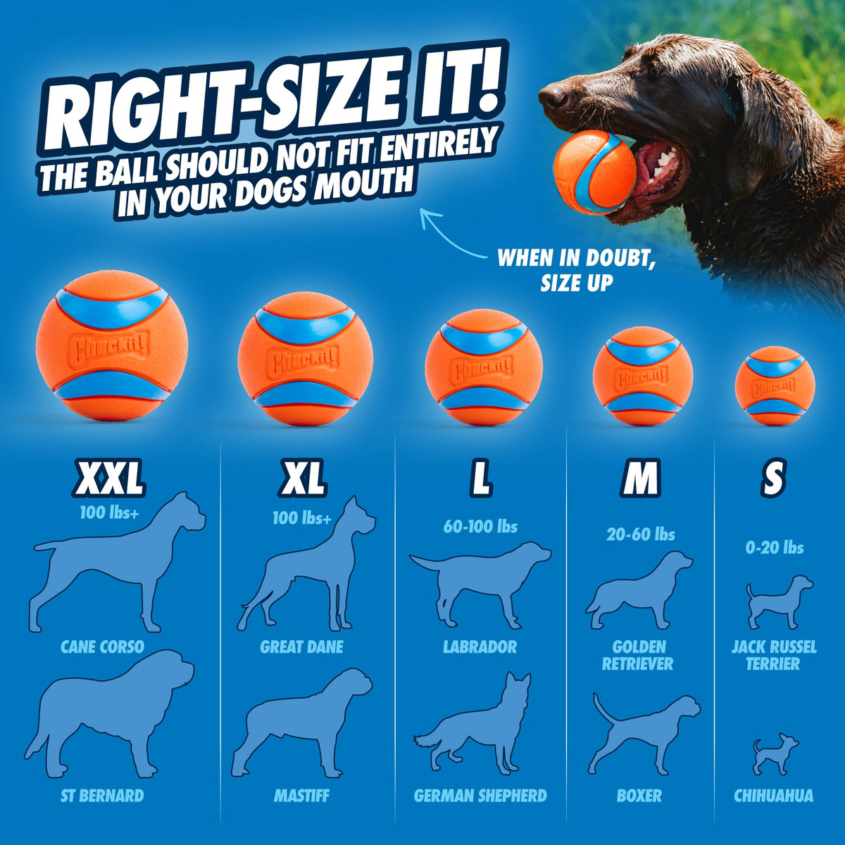 Dog Toy Durable Rubber Medium 2.5-in 2 Pack Z21182
