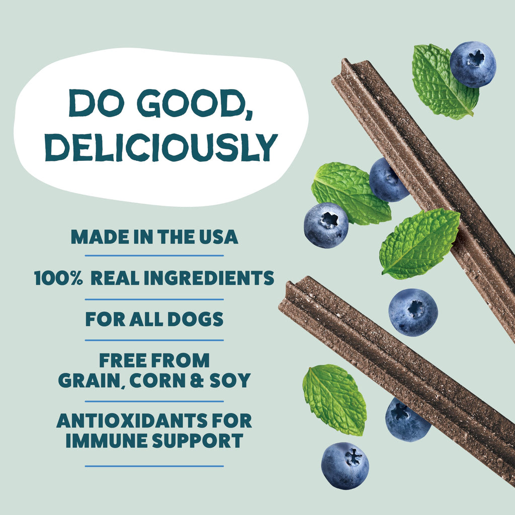 Blueberry & Mint Dental Chews for Dogs, 8 Chews F962