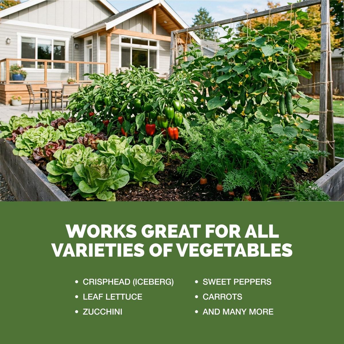 1 Gallon Vegetable Fertilizer J4037