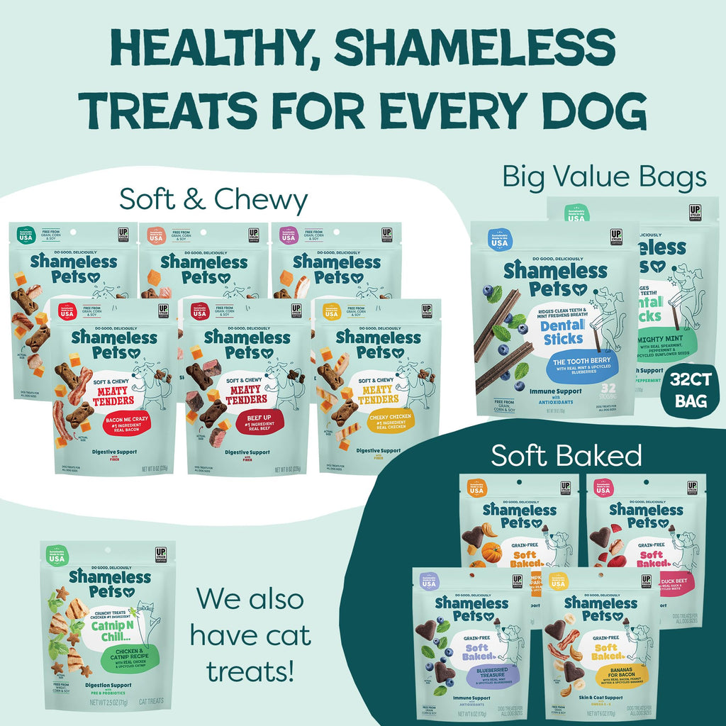 Blueberry & Mint Dental Chews for Dogs, 8 Chews F962