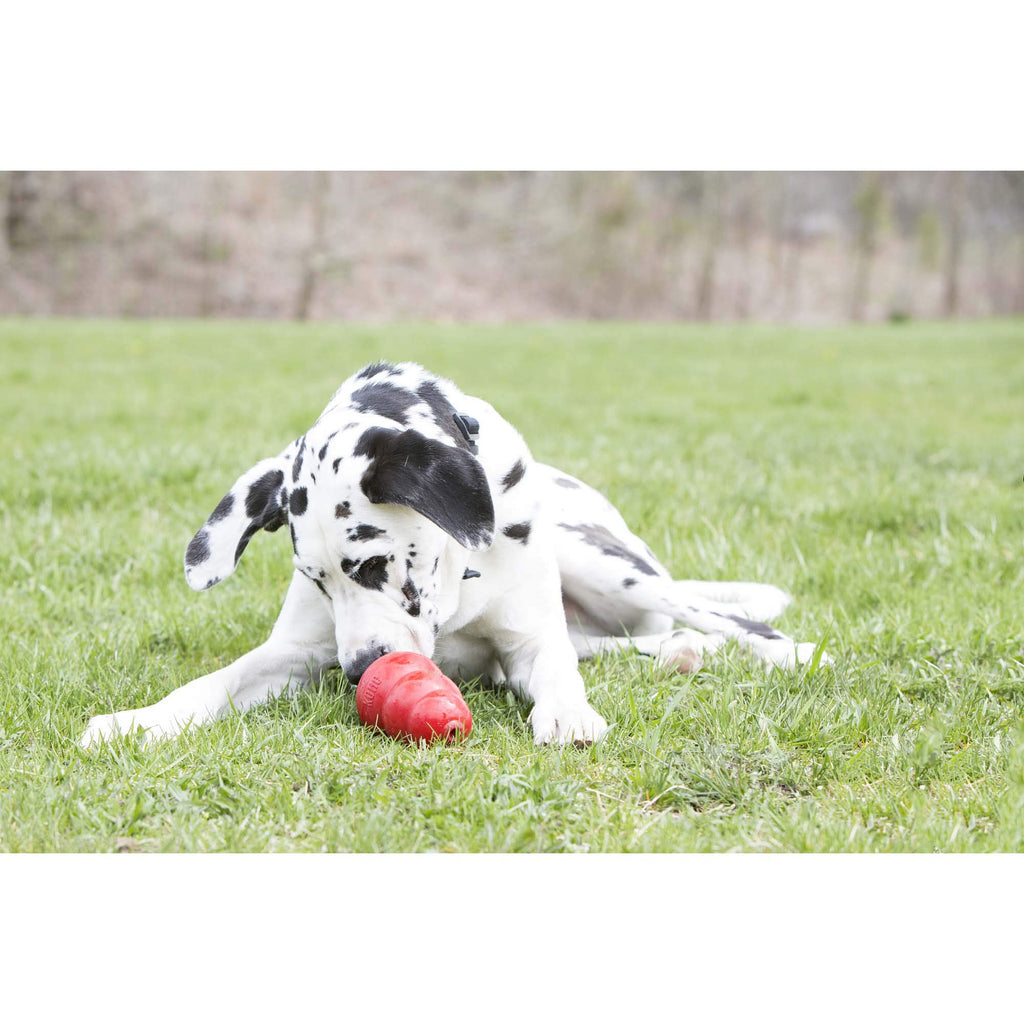 Peanut Butter and Sweet Potato Dog Treat Paste 5 oz R1459