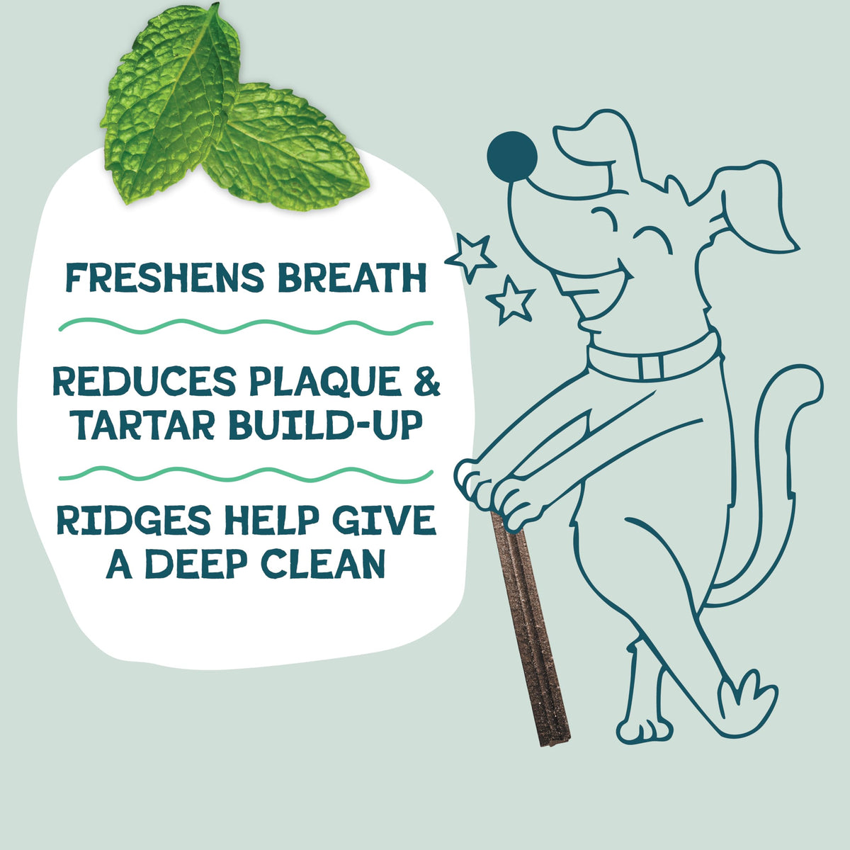 Blueberry & Mint Dental Chews for Dogs, 8 Chews F962